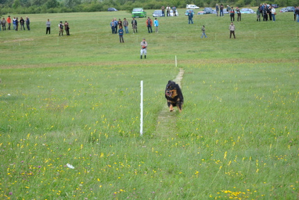 DSC 0242