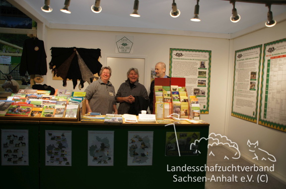 Am Stand (6)